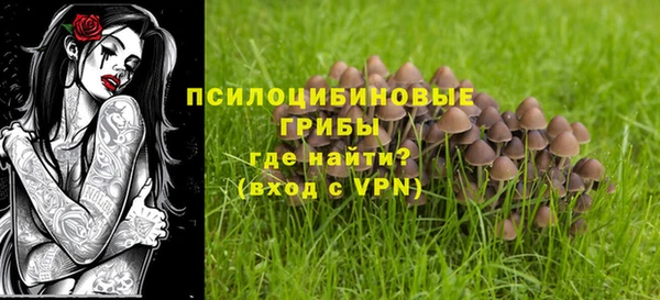 мяу мяу мука Арсеньев