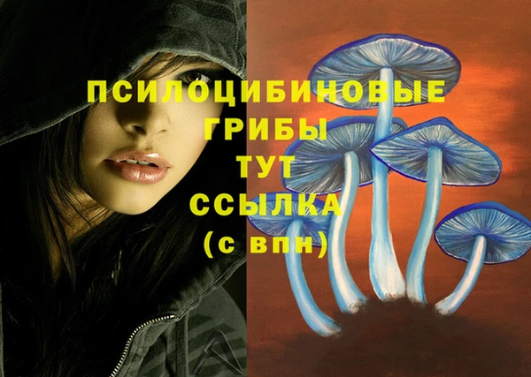 mdpv Аркадак